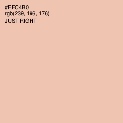 #EFC4B0 - Just Right Color Image